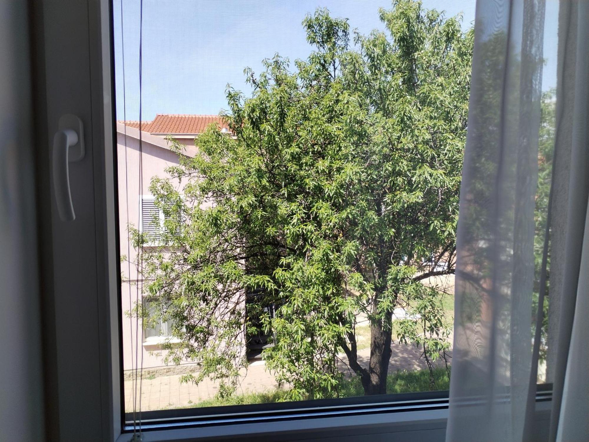 Family Apartment B&B Biograd Na Moru Εξωτερικό φωτογραφία
