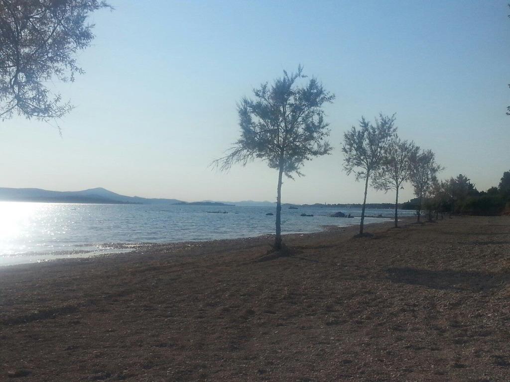 Family Apartment B&B Biograd Na Moru Εξωτερικό φωτογραφία